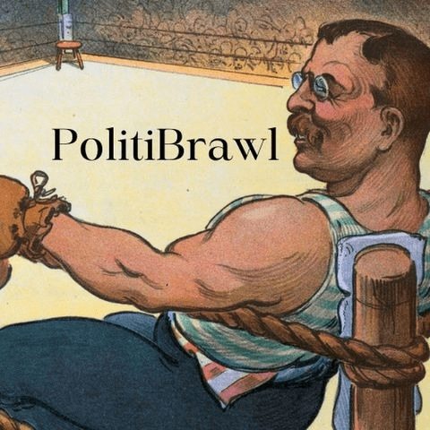PolitiBrawl